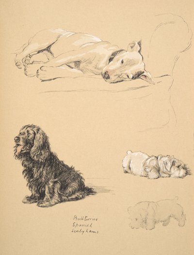 Bull-Terrier, Spaniel en Sealyhams, 1930, illustraties uit zijn schetsboek gebruikt voor 